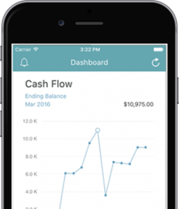 cash flow instrukcija
